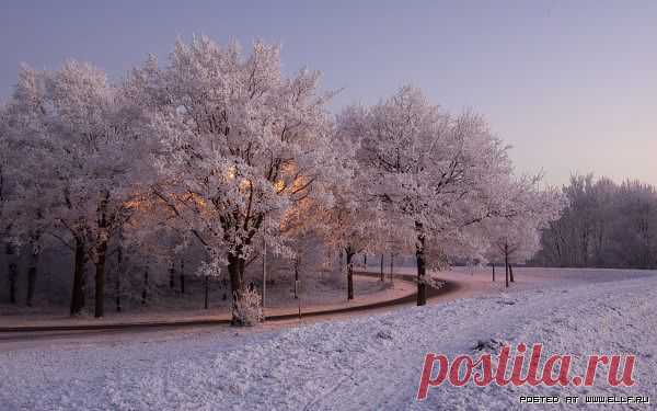 ХРИСТИАНСКАЯ ЛИРА - СТИХИ
ღℒℴѵℯღ ╰დ╮╭დ╯ ღ ℒℴѵℯღ