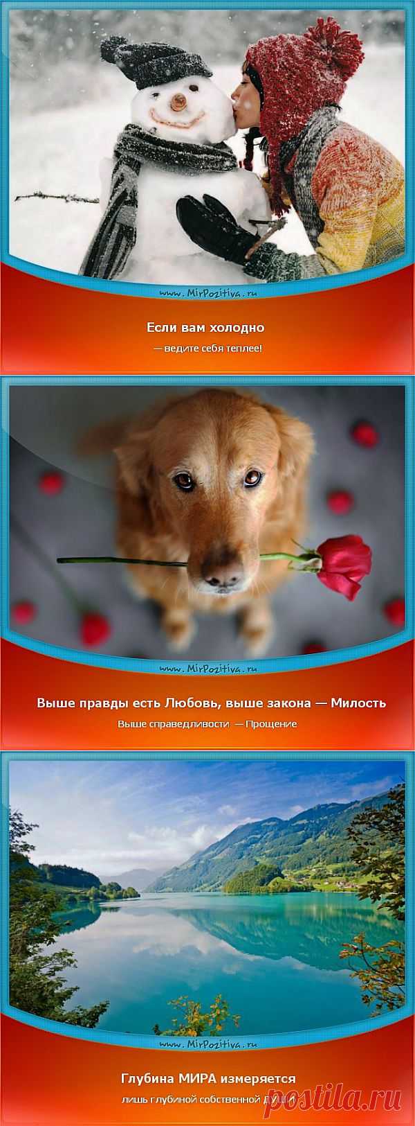 Позитивчики Недели.