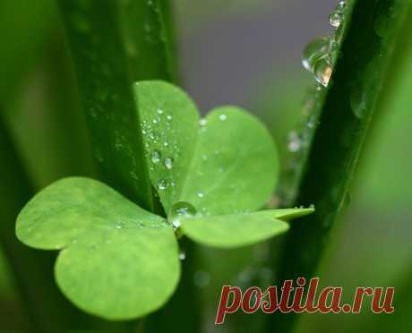 1721006534_94caf1f197.jpg (500×404)