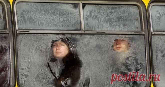 Почти каждое утро я встречаю её в автобусе.

Вернее, поначалу я её только слышала, когда на весь салон,
удручённый теснотой и пробками, раздавался вдруг непривычный рингтон с голосом Анны Герман:

«Одиииииин раз в год сааааааады цветут…»

Все вздрагивали и оборачивались — это у кого, ё-маё, сады цветут в семь утра неприветливой зимы?

И видели её — маленькую, слегка нелепую в своём зелёном картузе, салатовом пуховичке, стиляжных джинсах и жёлтых мальчишеских тимберлендах н...