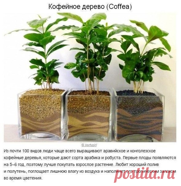 Для идеального микроклимата в доме