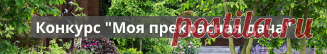 Использование помидорной ботвы на огороде — Садоводка
