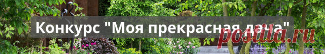 Новый конкурс! Моя прекрасная дача! — Садоводка