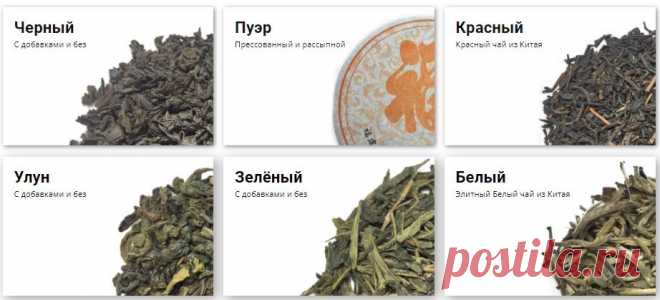Польза для здоровья от органического листового чая