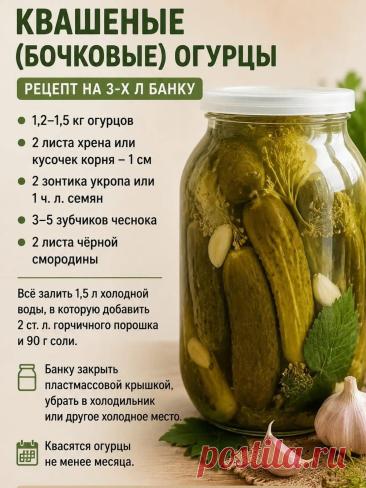 Квашеные (бочковые) огурцы