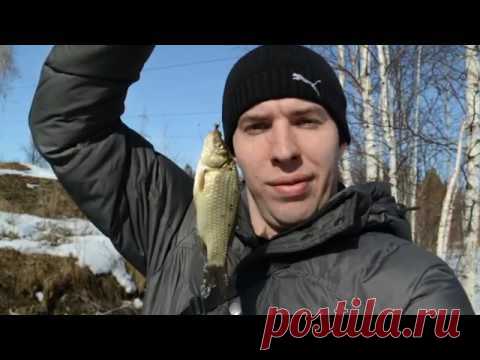 В данном видео, представленна простая и эффективная мушка для ловли нахлыстом 'белой рыбы'. Такие как: Карась, сорога, елец. ...