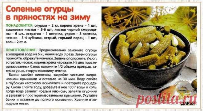 Соленые огурцы в пряностях на зиму