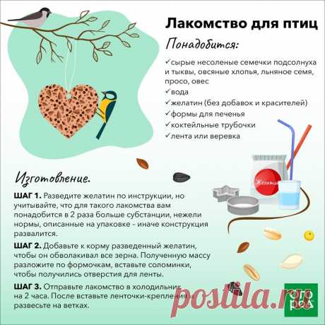 Лакомство для птиц