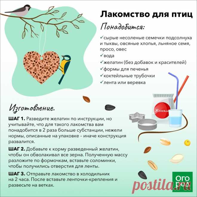Лакомство для птиц