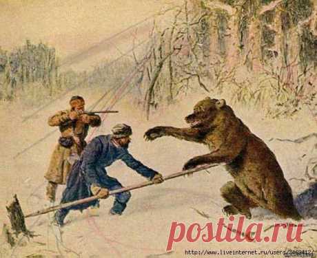 Почитание медведя древними славянами