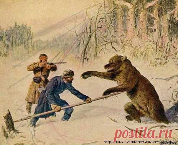 Почитание медведя древними славянами