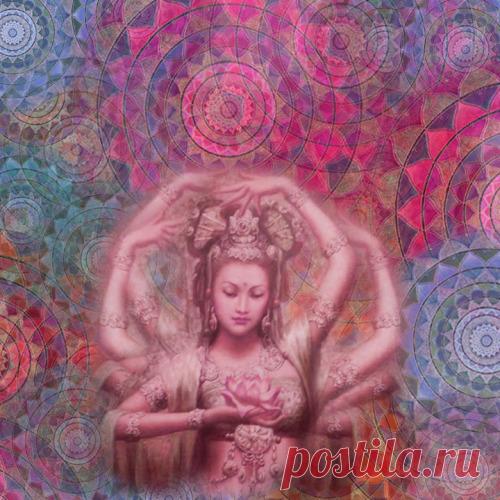 68747470733a2f2f64696173702e6f72672f75706c6f6164732f696d616765732f35323439616461346534356335633161326436302e6a7067 (500×500)