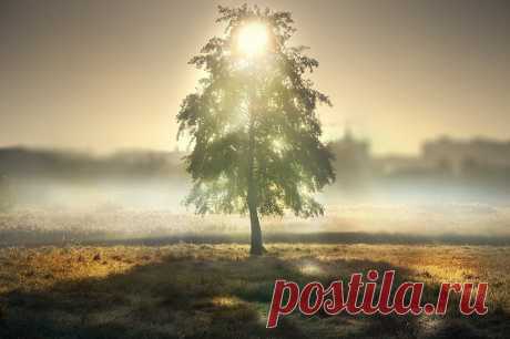 Рассветы, закаты...