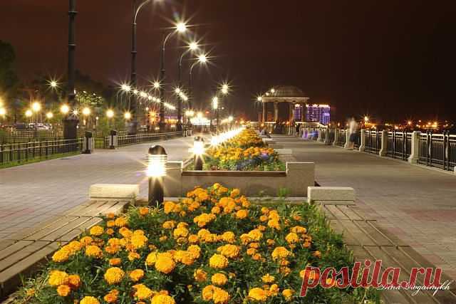 Новости Амурской области