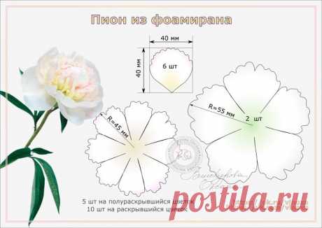 Выкройка пиона из фоамирана. 
Сохраняй в свою цветочную копилку выкроек.

Ещё больше выкроек здесь: https://ok.ru/vinoxa/album/52821920841874

Мастер-классом можно воспользоваться этим: https://ok.ru/vinoxa/topic/69998750905746

#пион_vinoxa
#выкройка_пиона_vinoxa