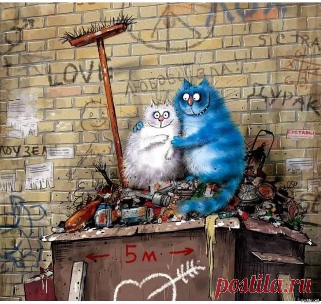 Синие коты - 61 фото - картинки: смотреть онлайн