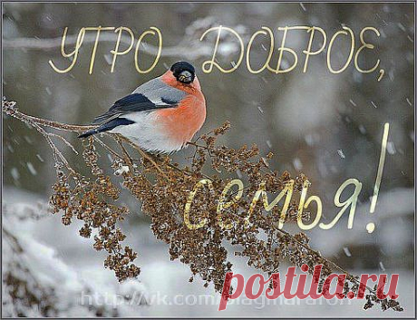 Одноклассники
