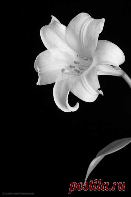 (28) Pinterest