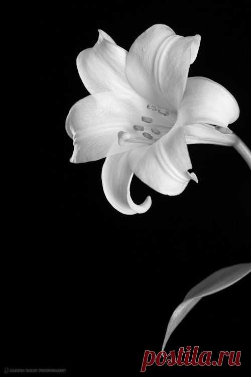 (28) Pinterest