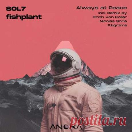 Sol7, fishplant - Always at Peace | Progonlymusic Sol7, fishplant - Always at Peace. BPM: 120, 122, 123. Key: Bbm, Bb. Listen new music on Progonlymusic.