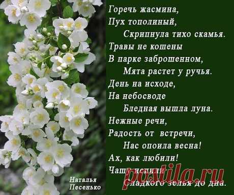 ��� ������ ����� (������� ��������) / �����.�� - ������������ ������ ����������� ������