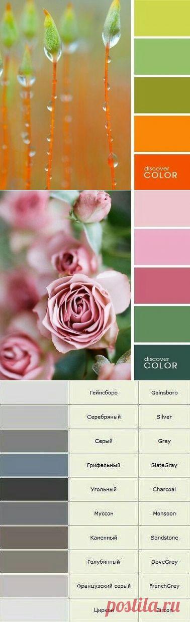 (1) Одноклассники