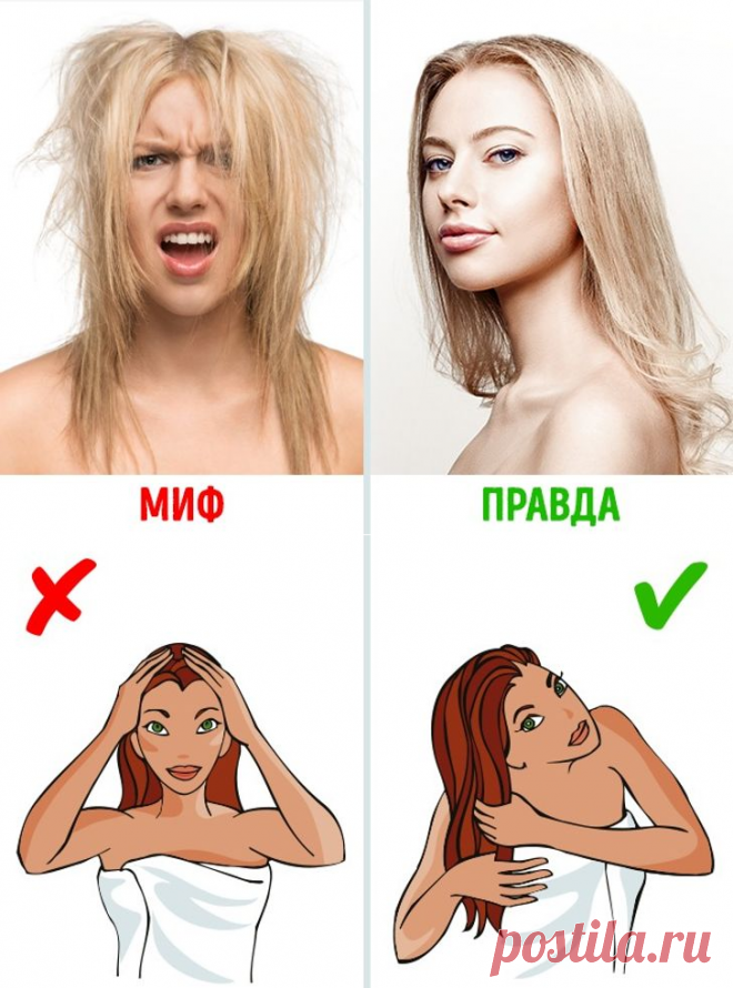 10 мифов о волосах, которые мешают нам отрастить здоровые локоны | Всегда в форме!