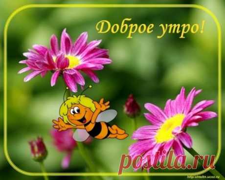 живые открытки с добрым утром - Поиск в Google