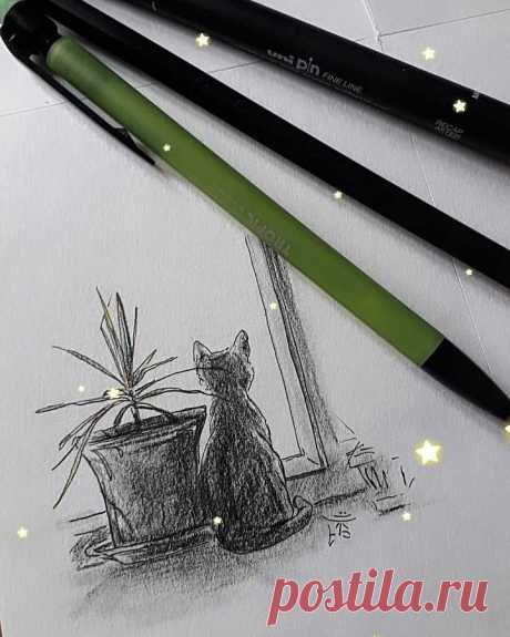Котенок на окне.°°°
#РисункиАкварелью #АкварельИллюстрации 
Инстаграм😊🖌 tasha.biboolaya https://www.instagram.com/tasha.biboolaya?r=nametag •••••••••••••••••••••••••••••••••••••••