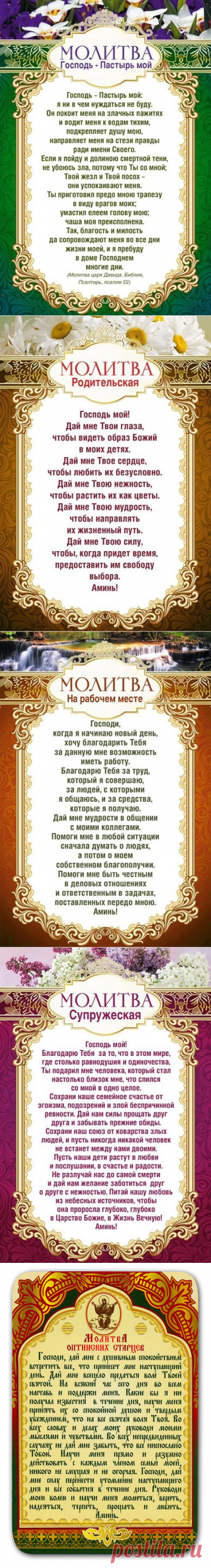 (75) Одноклассники