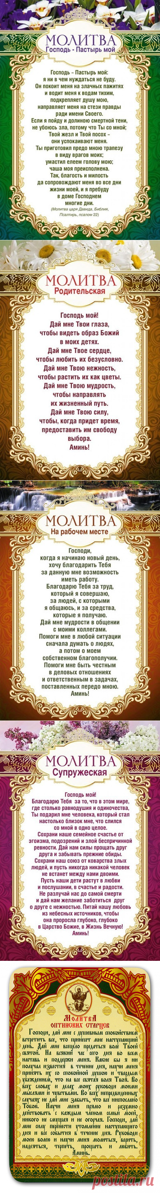 (75) Одноклассники