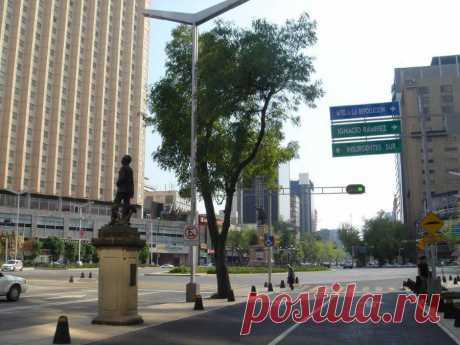 Paseo de la Reforma – главный проспект в Мехико и известнейшая улица на всем континенте. Именно на Пасео-де-ла-Реформа находится знаменитый Монумент Независимости, он же Ангел (Monumento a la Independencia или El Angel), который показывают в большинстве мексиканских сериалов как символ столицы. По воскресеньям проспект закрыт для автомобильного движения, что делает прогулку по нему крайне приятным времяпрепровождением.