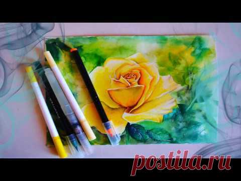 Как нарисовать желтую розу аквамаркерами. /Yellow rose with aquamarkers.