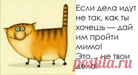 Good Lady | ВКонтакте