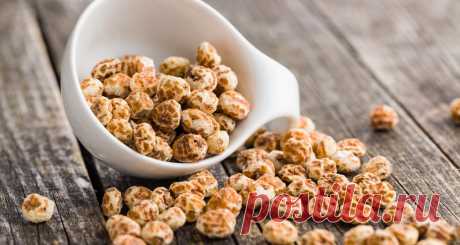 Как сажать и ухаживать за чуфой (земляной миндаль) | Полезные советы на все случаи жизни