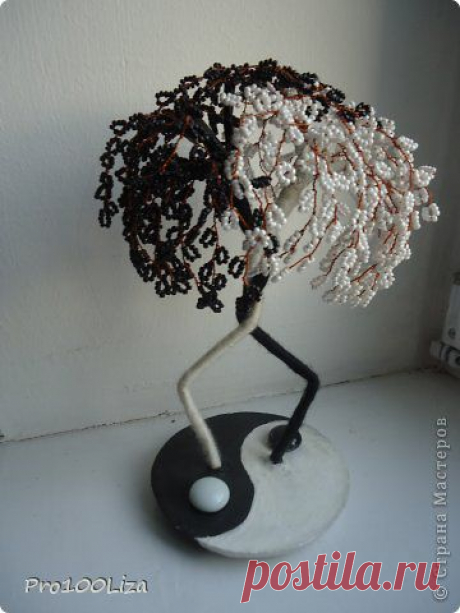 Инь Янь | Страна Мастеров