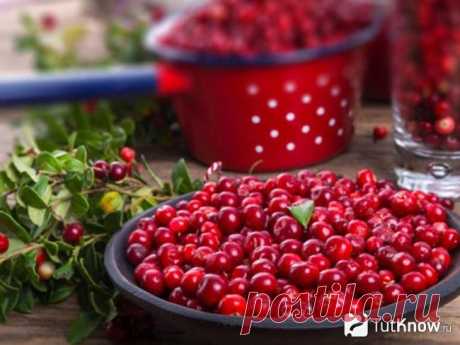 Заготовка брусники на зиму (Много-много рецептов)