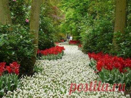 КРАСИВЕЙШИЕ МЕСТА ПЛАНЕТЫ