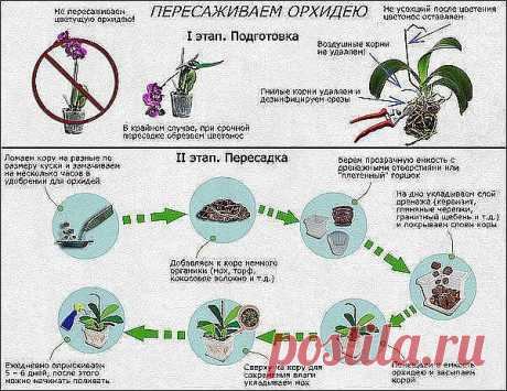 Одноклассники