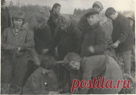 Зинаида Ахметшина (Евсеева)
Россия, Новокузнецк