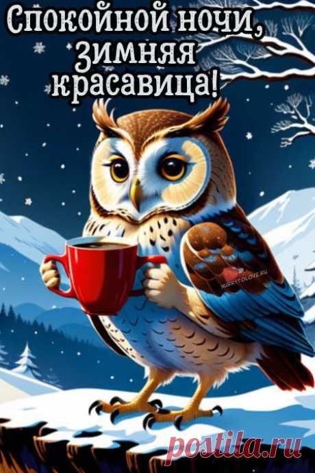 "Спокойной ночи" - картинки зимние женщине(56шт.)