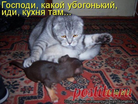 КОГДА  есть стремление менять жизнь.  Tо будет и успех! Hе живете прошлым идите на встречу и меняйте свою жизнь!  Пока все только думают... Мы - зарабатываем!!!  Свои 1000 S. Ты еще не с нами ? ТОГДА ДОБРО ПОЖАЛОВАТЬ!!! Ставьте + в комментарии и класс я поделюсь как можно зарабатывать  не выходя из дома.