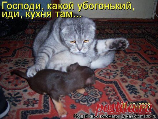 КОГДА  есть стремление менять жизнь.  Tо будет и успех! Hе живете прошлым идите на встречу и меняйте свою жизнь!  Пока все только думают... Мы - зарабатываем!!!  Свои 1000 S. Ты еще не с нами ? ТОГДА ДОБРО ПОЖАЛОВАТЬ!!! Ставьте + в комментарии и класс я поделюсь как можно зарабатывать  не выходя из дома.