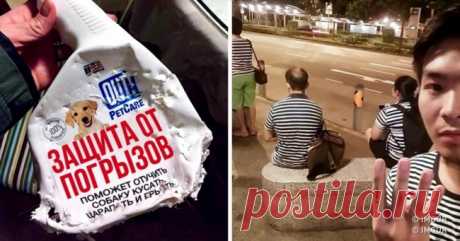 24 жизненные ситуации, в которые попадают только «везунчики» . Милая Я