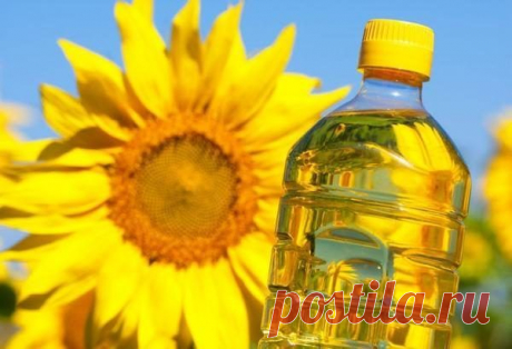 Волшебное подсолнечное масло / Домоседы