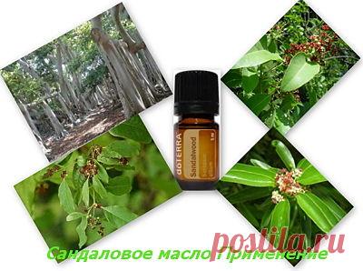 Сандаловое масло Применение | УСПЕХ с NEWAYS
Все способы применения сандалового масла