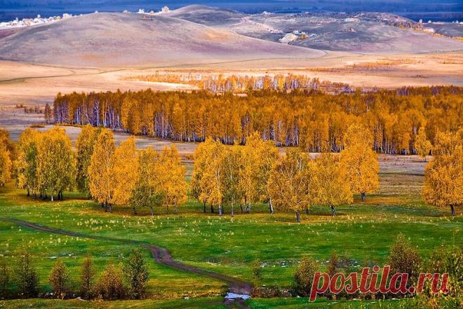 35PHOTO - Качурин Алексей   Осенний хоровод.