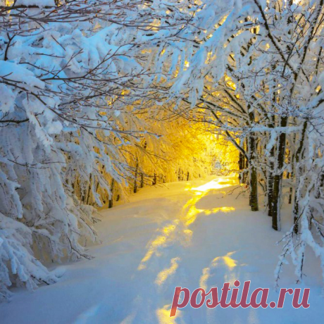Природа