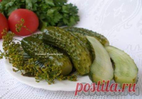 Как приготовить малосольные огурцы. Рецепт Наташи Ишменицкой