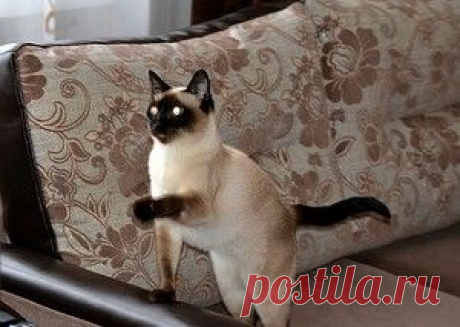 Наталья на Яндекс.Фотках